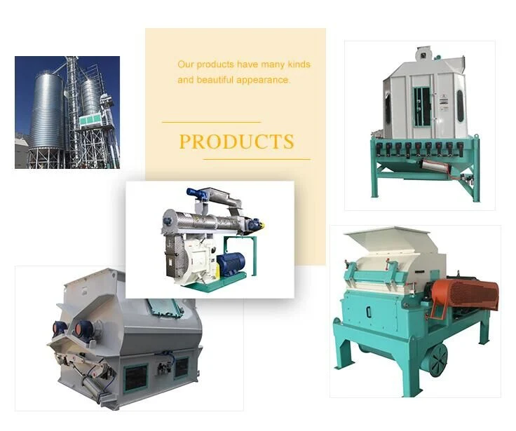 Completely 3-5 Ton Animal Feed Pellet Production Line Poultry Feed Pellet Plant