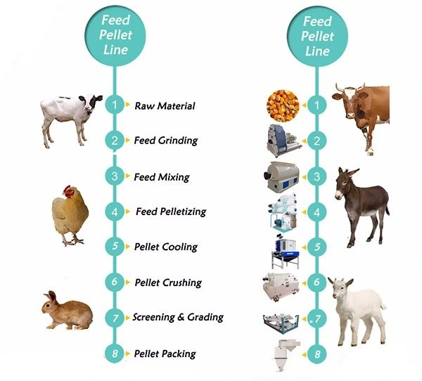 2t/H Automatic Cattle Feed Pellet Making Line Livestock Feed Processing Plant