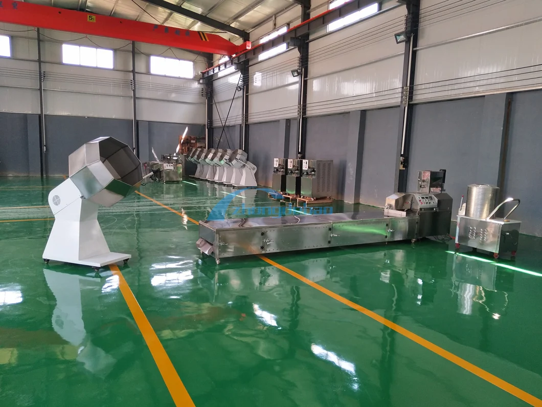 Floating Sinking Fish Feed and Dog Feed Processing Line Twin Screw Extruder Making Machine Manufacturing Equipment Plant