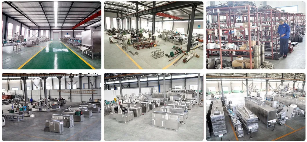 1-12mm 1-2 Ton Per Hour Full Automatic Animal Pet Dog Cat Fish Molds Customized Sinking Floating Fish Feed Pellet Processing Extruder Making Machine Price